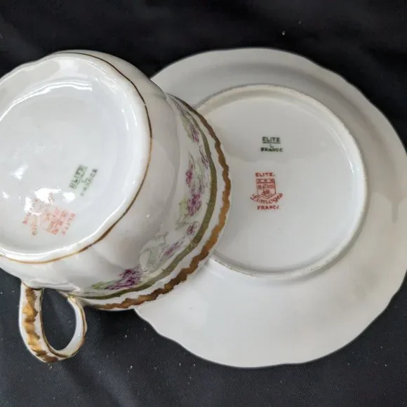RARE Antique Limoges Porcelain Tea Cup And Saucer Pink/Green 1896-1900